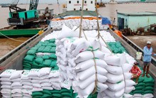 Xuất khẩu gạo 10 tháng thu về 4 tỷ USD