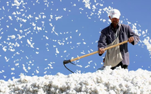 Các doanh nghiệp tới tấp rời đi rồi bất ngờ quay trở lại Trung Quốc: Chuyện gì đang xảy ra?