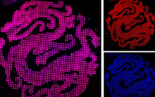 Trung Quốc vừa tạo ra công nghệ đỉnh cao chưa ai có, sản xuất ‘vật quý’ cả thế giới theo đuổi với giá cực mềm chỉ là chuyện sớm muộn