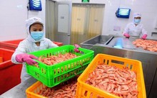 Lao động nghỉ việc hưởng trợ cấp thất nghiệp tăng