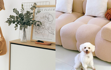 Vợ chồng thuê nhà 7 triệu/tháng, chi 40 triệu đồng để decor: Thuê nhà trống tiết kiệm hơn nếu sống lâu dài