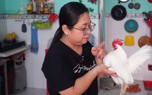 Chú bạch kê kỳ lạ ở Long An hiểu tiếng người, biết giữ của, được chủ nhân cưng chiều như con