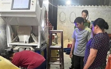 Lật tẩy chiêu trò hô biến loại gạo nổi tiếng nhất Lào Cai thành màu xanh