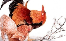 Ngày 11/11, 4 con giáp này thoải mái “chốt đơn” không lo giá cả, lộc lá kéo đến đề huề