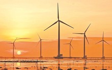 Nhóm năng lượng tái tạo rục rịch lên sàn: DN được trợ lực bởi EVN Finance vừa chào UPCom, BCG Energy cũng sửa soạn niêm yết với khối tài sản gần 20.000 tỷ