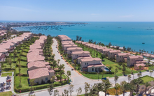 Một tháng giao dịch được 1 căn, loại hình bất động sản này vẫn “trượt dài” trong vòng xoáy biến động