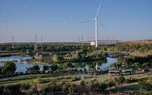 Trung Quốc dùng 500 triệu con ruồi và công nghệ tạo ra “kho báu” đáng giá thế nào?