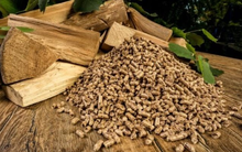 Việt Nam sở hữu “cây kim tiền” được Mỹ và Trung Quốc đua nhau mua hàng: Thu về gần 11 tỷ USD trong 10 tháng đầu năm, nước ta là “trùm” đứng thứ 5 thế giới