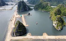 Bộ Tài nguyên - Môi trường lên tiếng vụ vùng đệm vịnh Hạ Long bị san lấp làm khu đô thị
