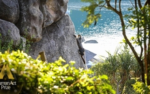 Theo chân 'mẹ voọc' và thợ lặn lên rừng, xuống biển ở Six Senses Ninh Van Bay