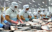 Xuất khẩu cá tra lấy lại đà tăng