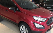 Vì sao nhà phân phối xe Ford ở Việt Nam muốn tăng vốn lên 1.000 tỉ đồng?