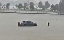 Nhiều nơi ở Hà Tĩnh ngập sâu, ô tô liều mình 'bơi' giữa biển nước