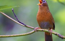 Theo phong thủy, quanh nhà xuất hiện 3 điều này, báo hiệu gia đình bạn chuẩn bị đón cực nhiều may mắn, tài lộc