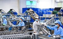 Bối rối lo hút vốn FDI trước 'giờ G' áp thuế tối thiểu toàn cầu