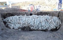 Đào đất công trường, Nhật Bản vô tình phát hiện 100.000 vật thể ‘xâu thành chuỗi’: Chuyên gia nhận định đây là ‘kho báu khổng lồ’, có nguồn gốc từ Trung Quốc với nhiều mẫu hiếm gặp