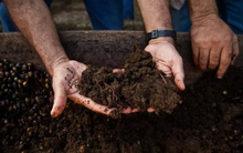 Phân bón từ Lào ồ ạt vào Việt Nam nhờ giá siêu rẻ, cạnh tranh cùng Trung Quốc trở thành cứu tinh cho nông sản Việt