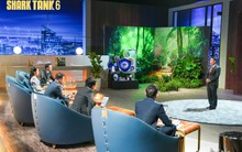 CEO tin đội IT nên bán nhà đổ 8,7 tỷ khởi nghiệp, ứng dụng học tiếng Anh 8 năm tuổi mỗi tháng thu về 30 triệu đồng, Shark Minh cảm thán: “Dừng lại đi!”