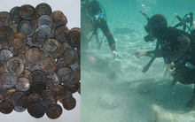 Lặn biển tìm thấy 30.000 mảnh kim loại lạ, người đàn ông lập tức báo nhà chức trách: Hoá ra là kho báu cổ gần như nguyên vẹn