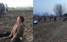 Trung Quốc: Chưa kịp thu hoạch nông sản, hàng trăm người đổ ra đồng "cướp bóc" gây thiệt hại hơn 670 triệu đồng, chủ hộ gào khóc trong bất lực