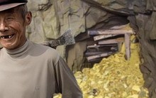 Đốn củi trong rừng, tiều phu đào trúng “kho vàng”, hí hửng ra ngân hàng đổi thì lập tức cảnh sát bắt ngay tại chỗ