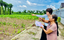 Thông tin mới nhất về tách thửa đất hộ gia đình, cá nhân tại Tp.HCM