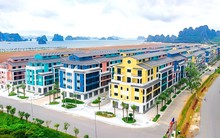 CEO khớp lệnh kỷ lục ngày 242,7 triệu cổ phiếu chào bán ra công chúng được giao dịch