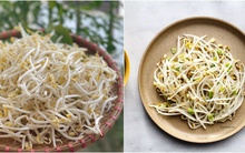 Giá đỗ rất bổ dưỡng nhưng những người này cần tuyệt đối tránh kẻo ảnh hưởng tới sức khỏe