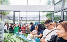 Môi giới thổi giá chung cư cao chót vót, người mua ngao ngán