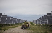 Lùa xong 1 đàn cừu vào nhà máy điện, người Trung Quốc ra tuyên bố "giải quyết vấn đề toàn cầu"?