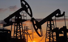 Phát hiện nguồn dầu giá rẻ mới, nhà nhập khẩu lớn thứ 3 thế giới lập tức quay xe với dầu Nga, nhập khẩu tăng mạnh trong tháng 10