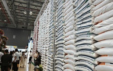 Các ông lớn ngành gạo làm ăn ra sao trong cơn sốt giá gạo?