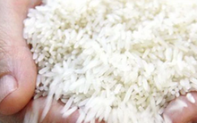 Giá gạo xuất khẩu lập đỉnh mới