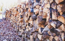 "Cây tỷ đô" của Việt Nam liên tục được Ấn Độ đổ tiền mua, xuất khẩu tăng mạnh gần 300% trong 9 tháng đầu năm