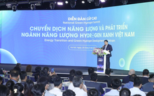 Bộ trưởng Bộ KH&ĐT: Hydrogen xanh nổi lên như một giải pháp trong tiến trình hướng tới “tương lai xanh”