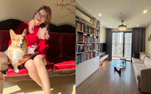 Chi hơn 7 triệu thuê nhà sống 1 mình với thú cưng: Từng bị mèo cào sofa, phải đền tiền cho chủ nhà