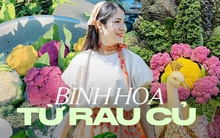 Những "chú Công" rau củ rực rỡ sắc màu được mẹ đảm ở Quảng Ninh tự tay sáng tạo làm ai cũng mê