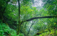 Có một trải nghiệm “gây nghiện” gần Tà Xùa cho các tín đồ yêu thích khám phá: Không phải săn mây