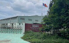 Doanh nghiệp đầu tiên sản xuất bao cao su nội ở Việt Nam, từng được 2 ngân hàng nắm hơn 12% vốn hiện đang kinh doanh ra sao?