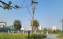 Hà Nội: Công viên hồ điều hoà ban đêm tối om, cỏ mọc um tùm, rác thải bẩn thỉu