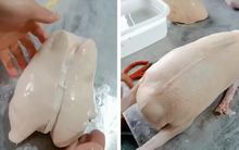 Cận cảnh tạo ra món ăn "nhà giàu" xa xỉ bậc nhất thế giới nhưng lại gây phẫn nộ vì sự tàn nhẫn