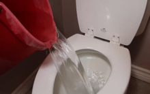 Thói quen đổ nước thải xuống bồn cầu tưởng là tốt hóa ra lại rất hại: Đây là 4 nguyên nhân