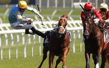 Dòng tiền đổ mạnh vào cổ phiếu vốn hóa trung bình, hiệu suất VNMidcap "bỏ xa" VN30