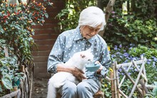 Con gái đưa 10 triệu đồng/tháng nhờ chăm sóc cháu, cụ bà dứt khoát "nói không" để vừa tốt cho con vừa lợi cho mình