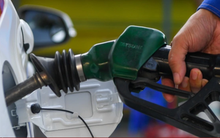 Xuất hóa đơn điện tử bán lẻ xăng dầu: Tại sao doanh nghiệp vẫn chần chừ?