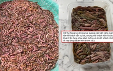 Đặt rươi online, cả người bán người mua đều 'phơi bày' sự thật trên mạng