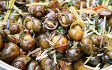 Những người này ăn ốc luộc 'cực độc', thèm đến mấy cũng nên tránh cho xa