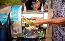 "Thang thuốc quý" của Việt Nam khiến 98% người Hàn Quốc khen ngon không biết chán, Mỹ và châu Âu liên tục xếp hàng săn đón dù giá cao giật mình