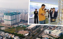“Soi” giá các dự án căn hộ bung thị trường cận Tết