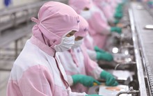 Tham gia ‘sân chơi’ FTA: Doanh nghiệp vẫn bỏ qua nhiều cơ hội